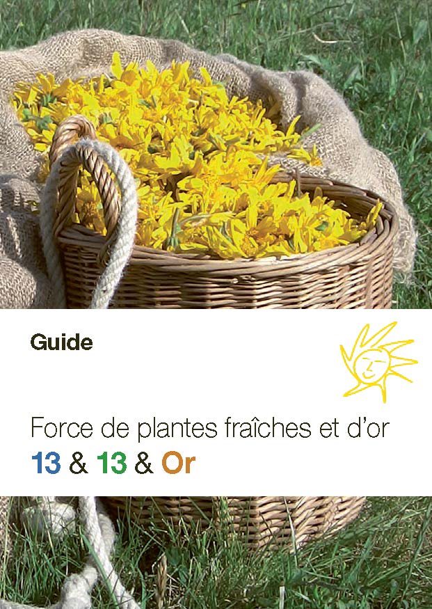 ALPMED Guide Force Plantes Fraîches & Or | 1 pièce
