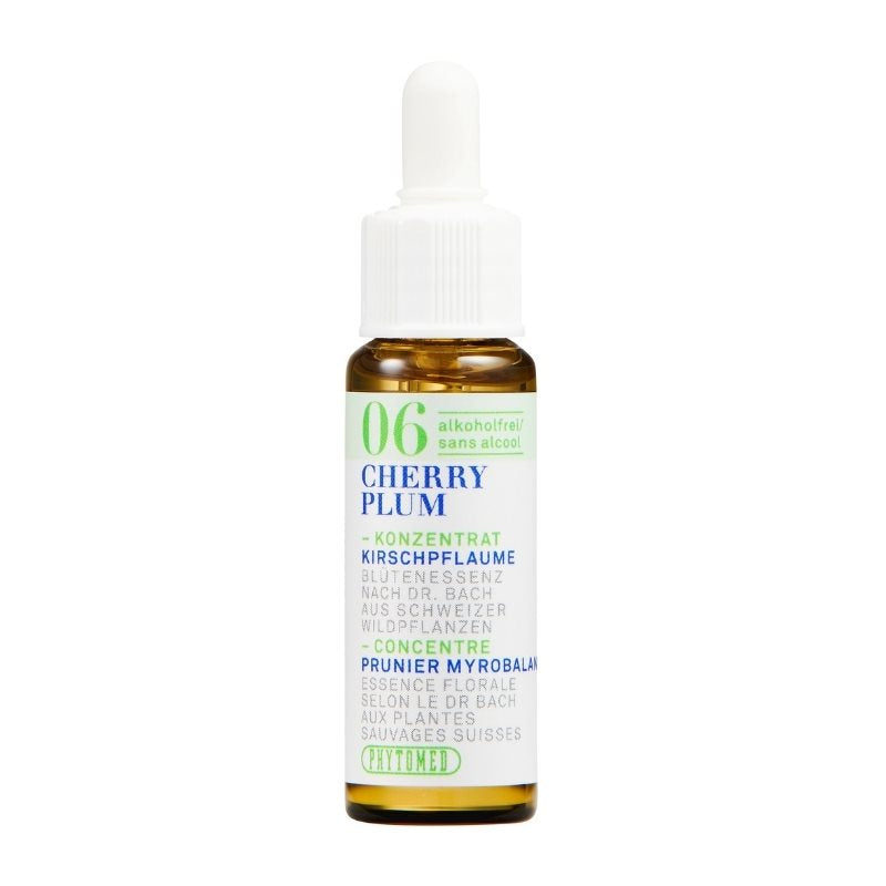 PHYTOMED Nr6 Bach Tropfen alkoholfrei 10ml | Courage