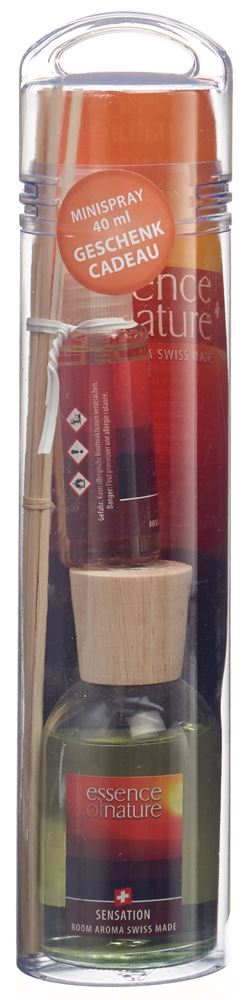 ESSENCE OF NATURE Sticks Sensation Diffuseur 100ml | Ambiance