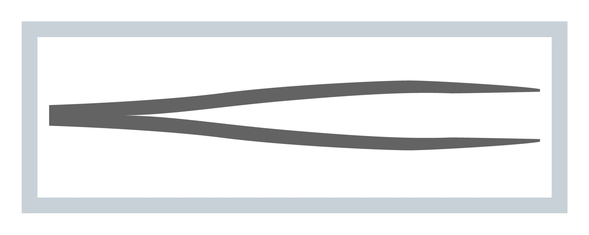 MEDISET Pince à Mors Fins Gris 25 cm | Instrument Chirurgical de Précision