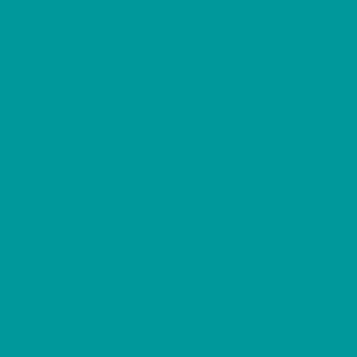 ELSA Housse de coussin 40x60cm Velours Turquoise | Élégance