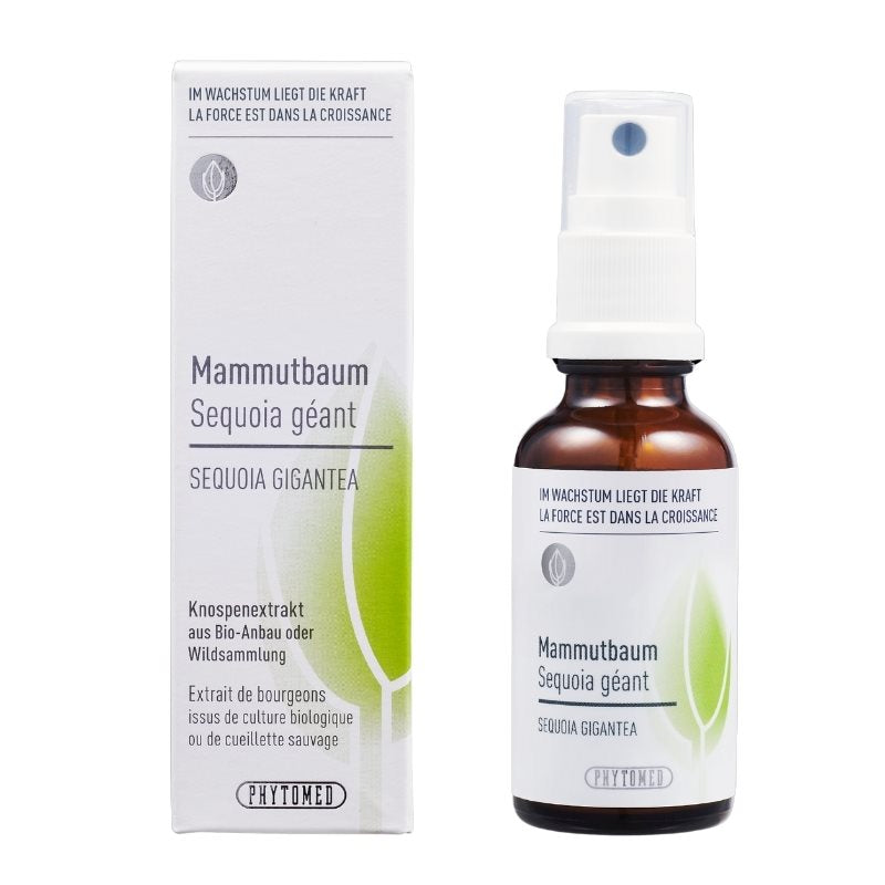 PHYTOMED Knospenextrakt Mammutbaum Extrait 250ml | Bien-être