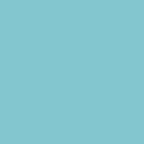 ELSA Housse Oreiller Velours Bleu 50 x 11 cm Confort Douceur | Literie