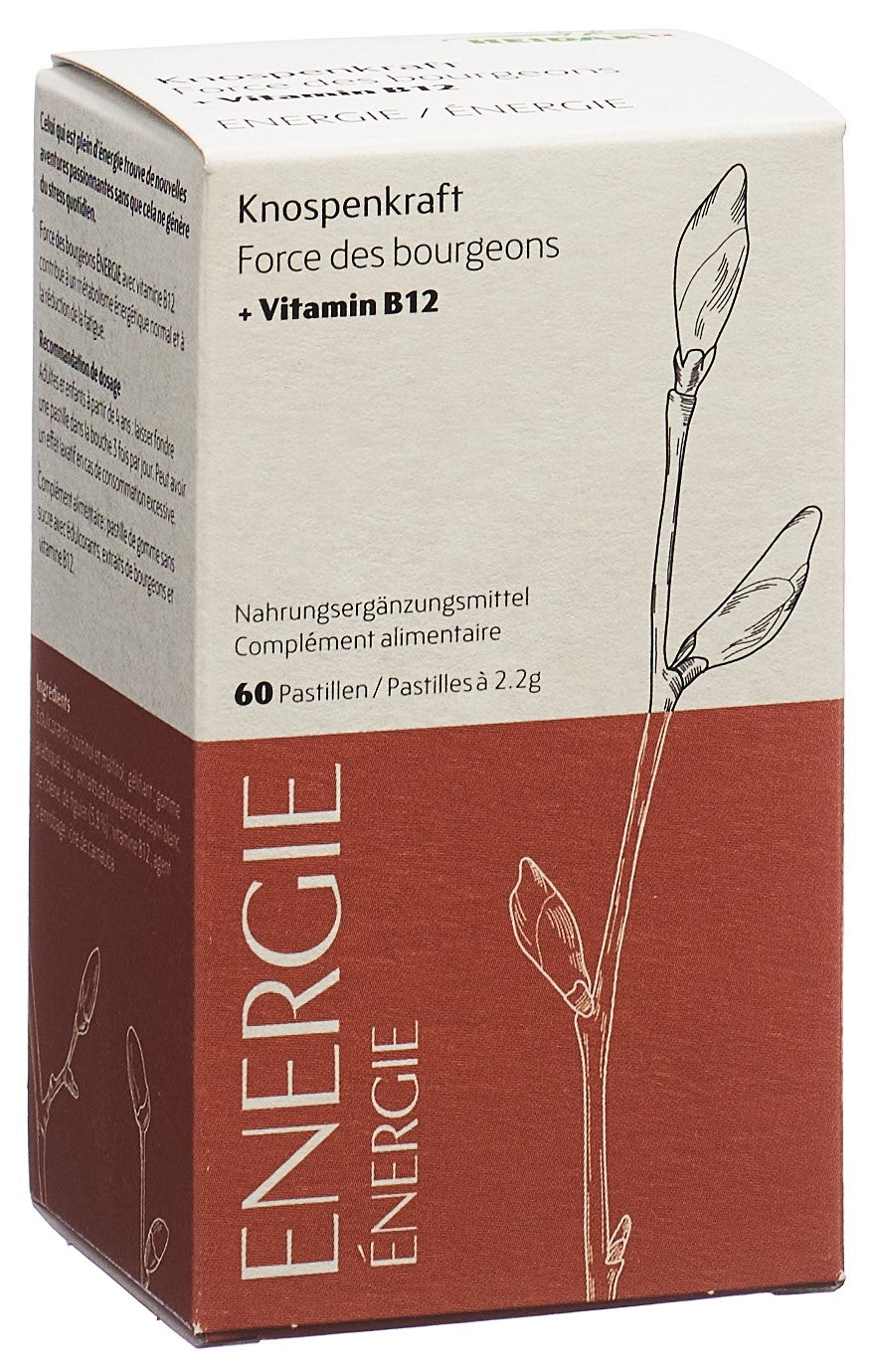 HEIDAK force bourgeons pastilles énergie 60 pce