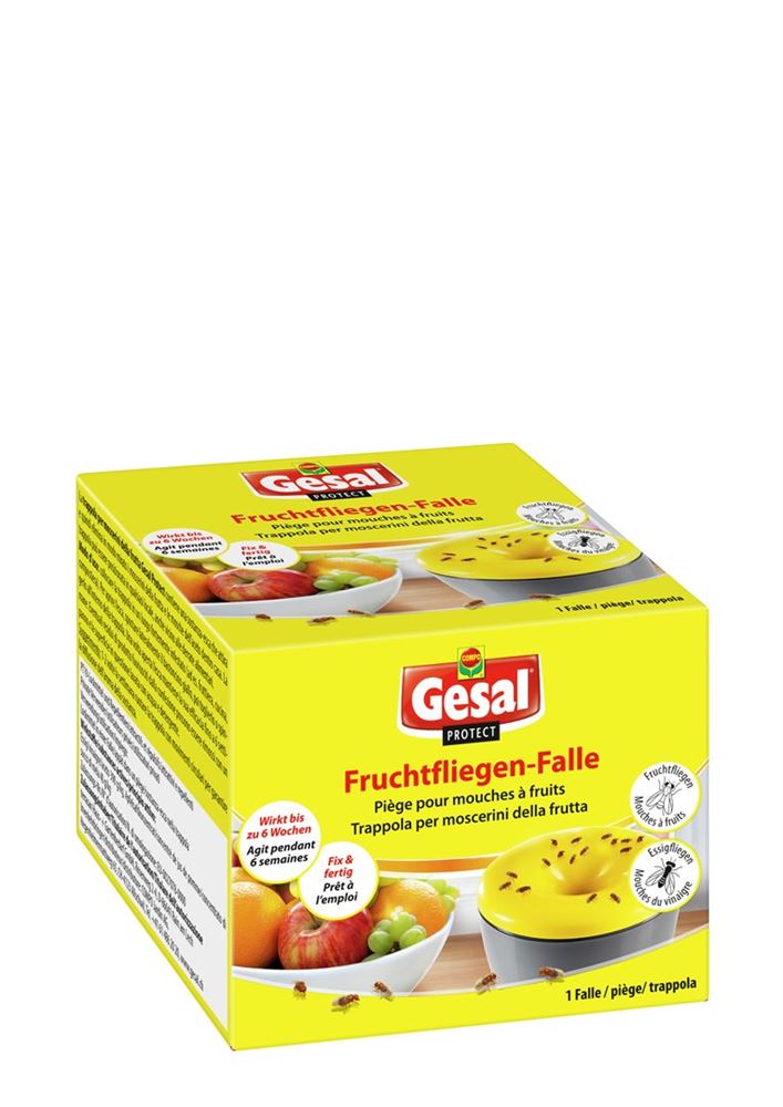GESAL PROTECT Piège Mouches à Fruits | Anti-mouches