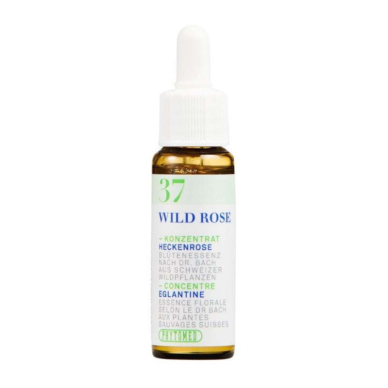 PHYTOMED Bachblüten No37 Heckenrose Fl 10ml | Courage &amp; Vitalité