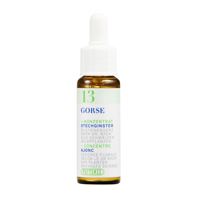 PHYTOMED Bachblüten No13 Stechginster Elixir 10ml | Espoir