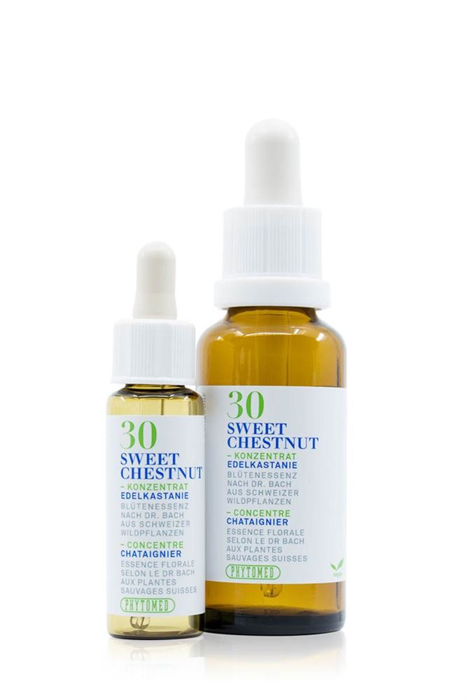 PHYTOMED Bachblüten No30 Edelkastanie Fl 30ml | Soutien Mental
