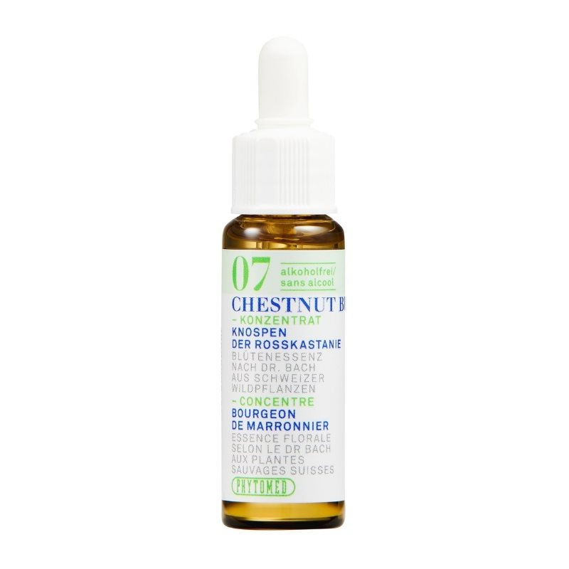 PHYTOMED Nr7 Bach Tropfen alkoholfrei 10ml | Patience
