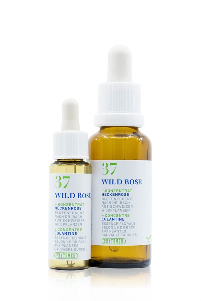 PHYTOMED Bachblüten No37 Heckenrose Fl 30ml | Courage &amp; Vitalité