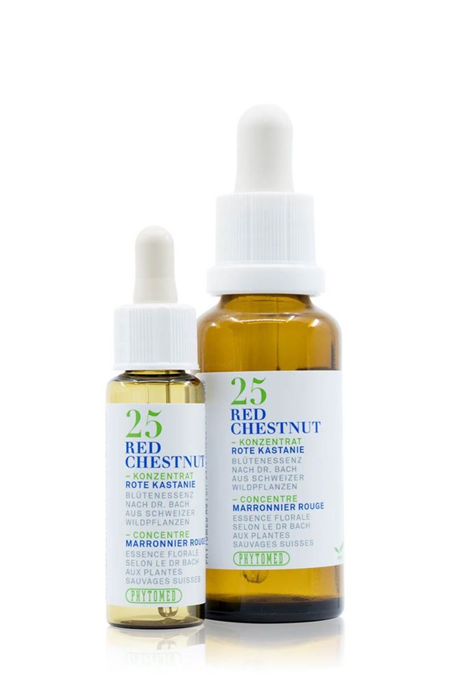PHYTOMED Bachblüten Rote Kastanie No25 30ml | Apaisement