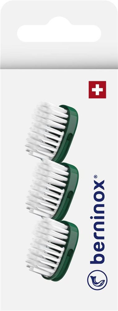 BERNINOX Têtes Vert Atl. Medium 3 pièces | Nettoyage Efficace