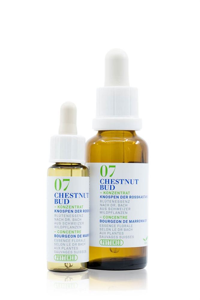 PHYTOMED Bachblüten No7 Knospe Rosskast Fl 30ml | Patience