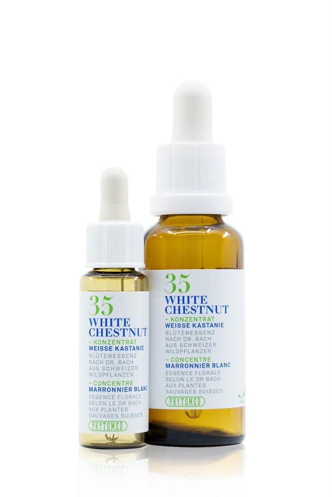 PHYTOMED Bachblüten No35 Weisse Kastanie Fl 30ml | Concentration &amp; Clarté