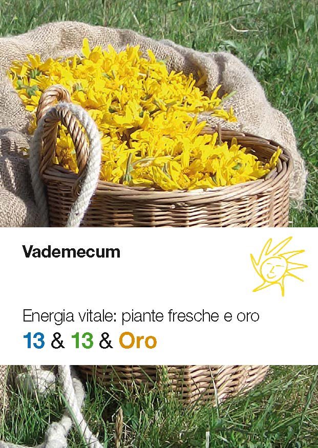 ALPMED Vademecum Énergie Vitale Plantes Fraîches &amp; Or | 1 pièce