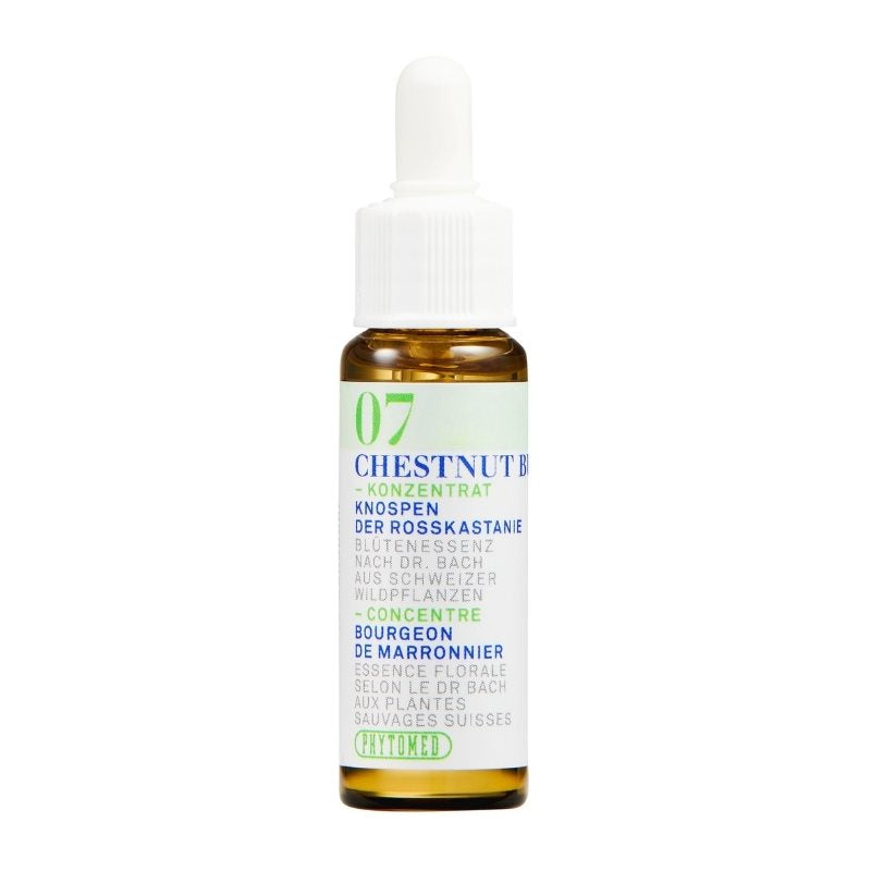 PHYTOMED Bachblüten No7 Knospe Rosskast Fl 10ml | Patience