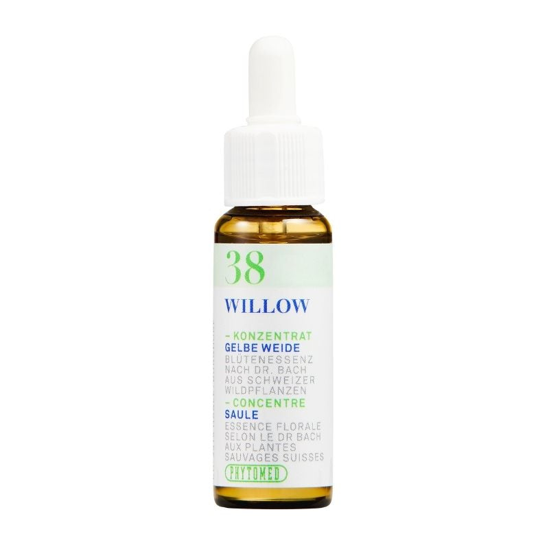 PHYTOMED Bachblüten No38 Gelbe Weide Fl 10ml | Acceptation &amp; Lâcher-prise