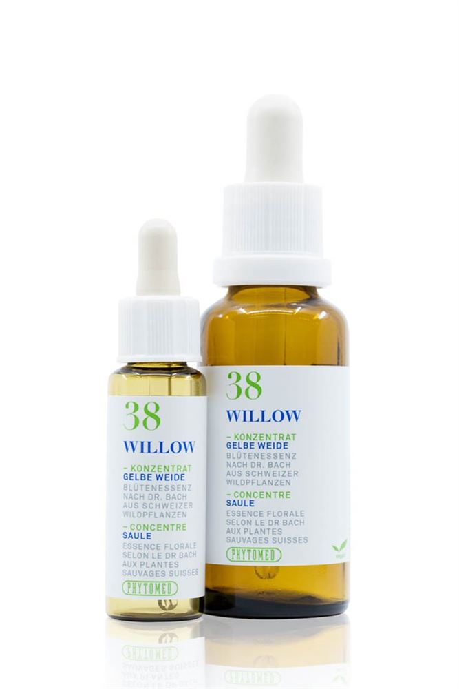 PHYTOMED Bachblüten No38 Gelbe Weide Fl 30ml | Équilibre
