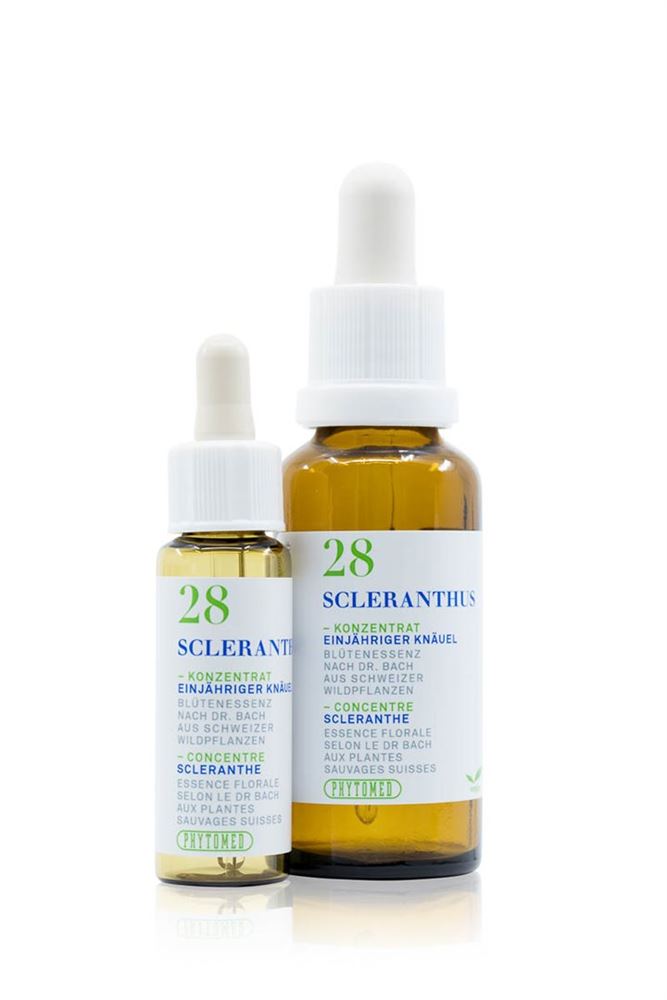 PHYTOMED Bachblüten No28 Einjähr. Knäuel Fl 30ml | Équilibre Émotionnel
