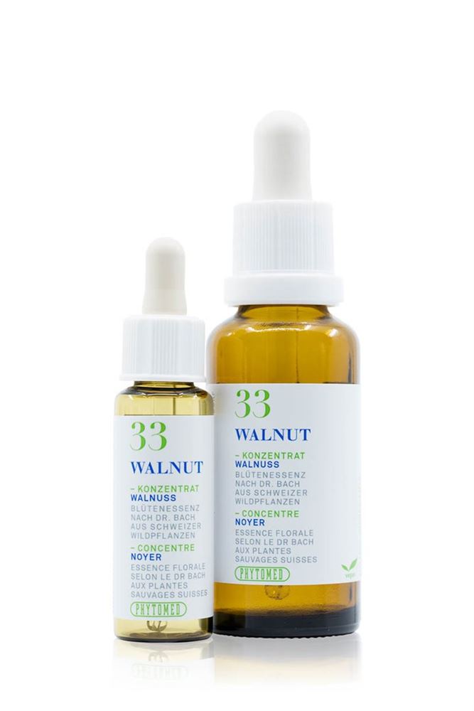 PHYTOMED Bachblüten No33 Walnuss Fl 30ml | Protection &amp; Transition