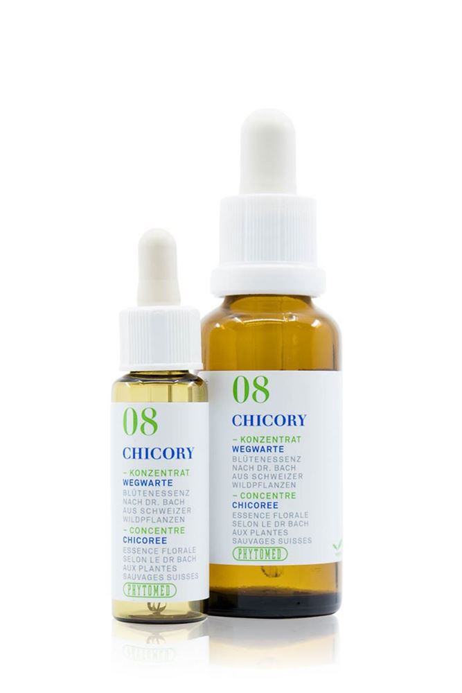 PHYTOMED Bachblüten No8 Wegwarte Fl 30ml | Acceptation
