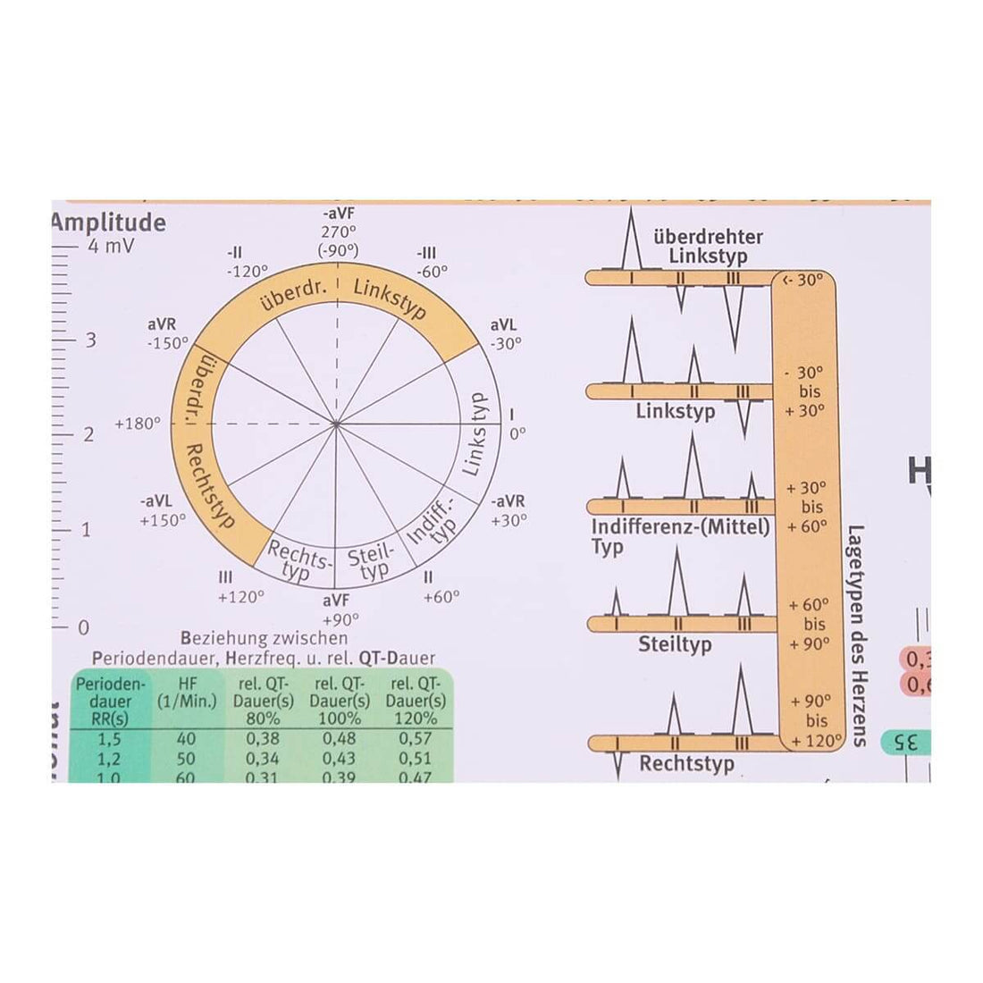 Règle peut être utilisée pour ECG Surfaces Durables et Lavables