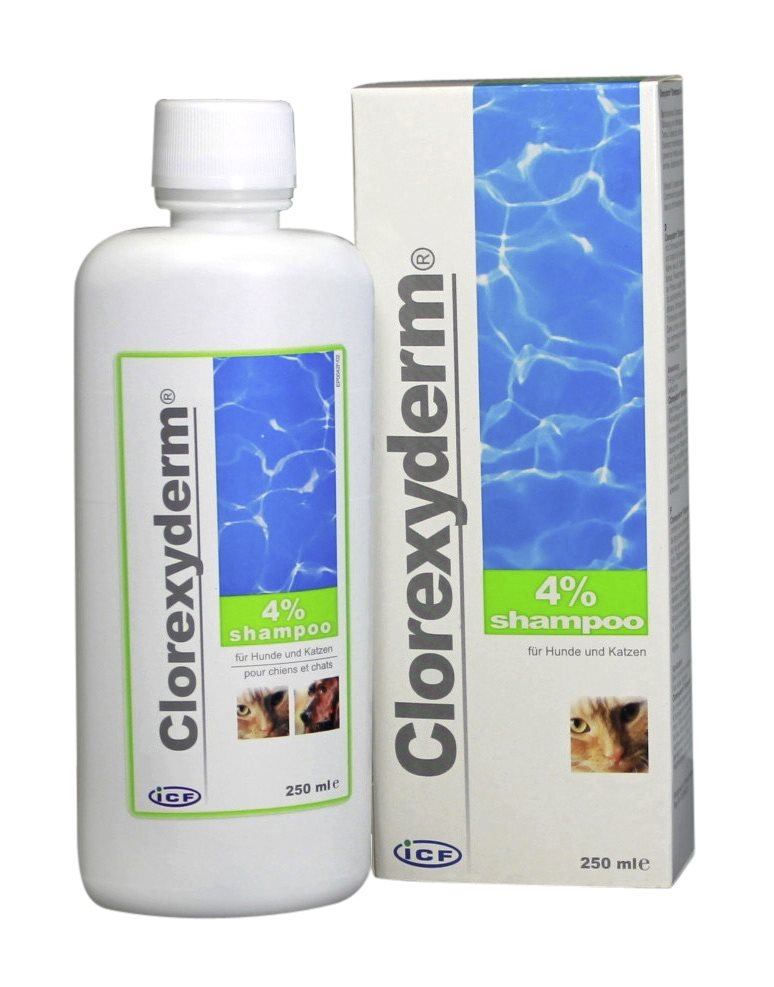 CLOREXYDERM Shampooing 4% 250ml | Usage vétérinaire