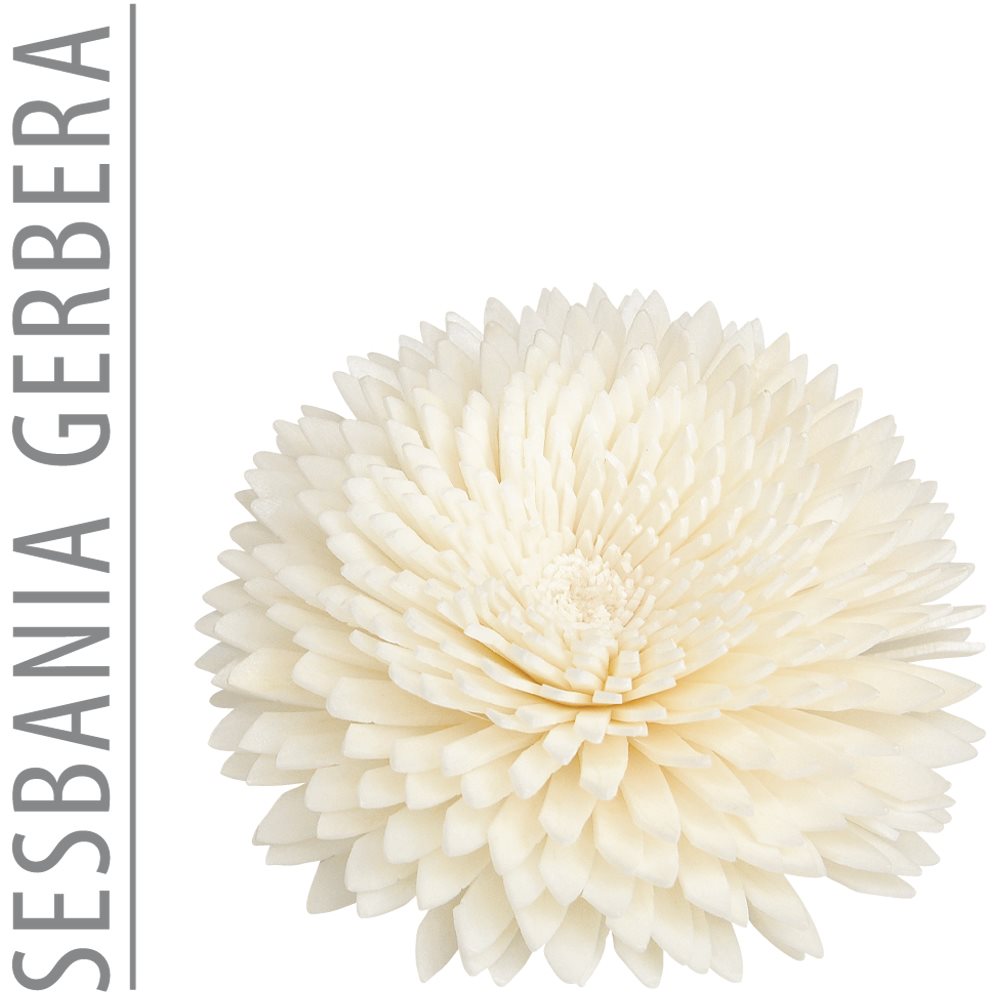 ESSENCE OF NATURE Fleur de rechange 6cm Gerbera | Décoration