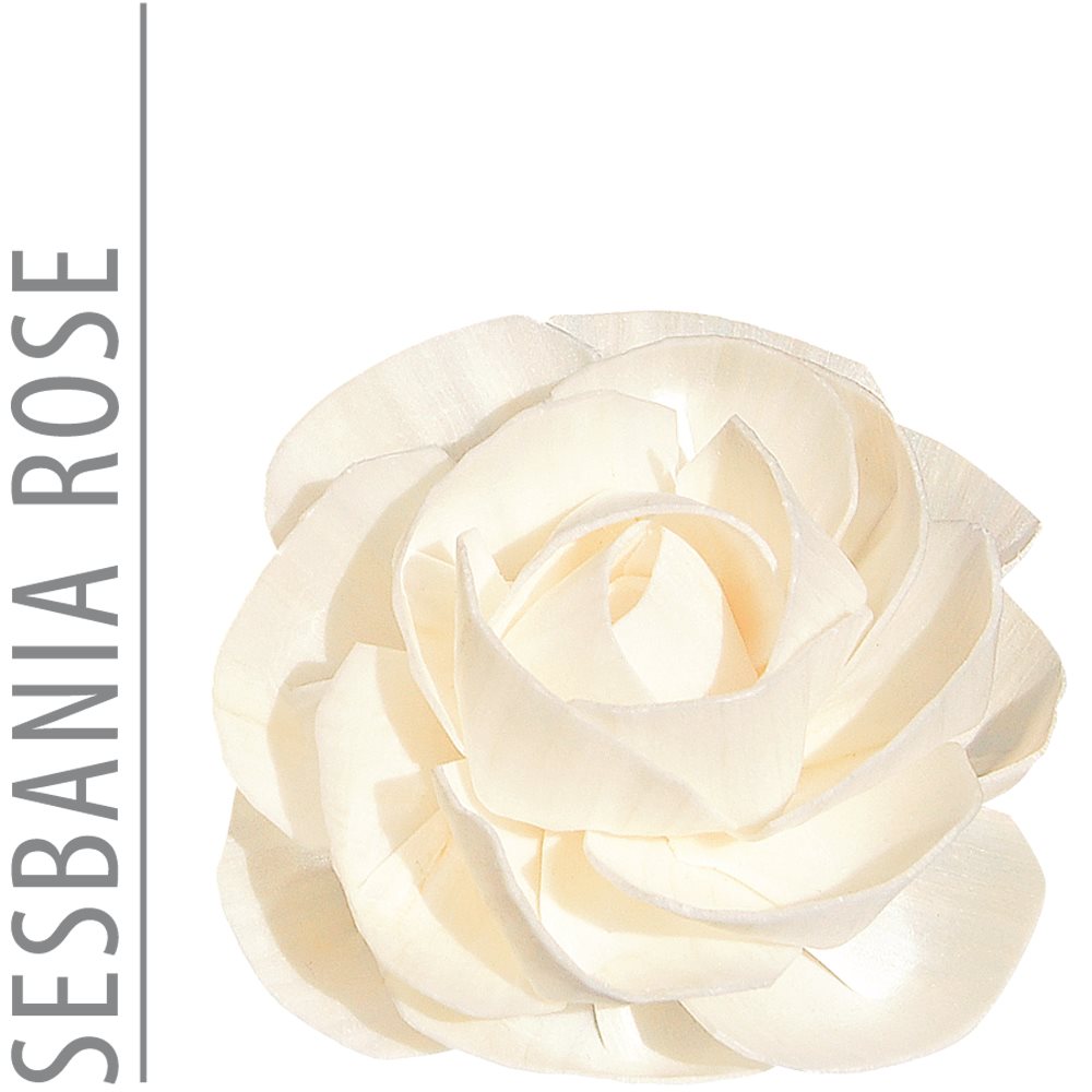 ESSENCE OF NATURE Fleur de rechange 6cm Rose | Décoration