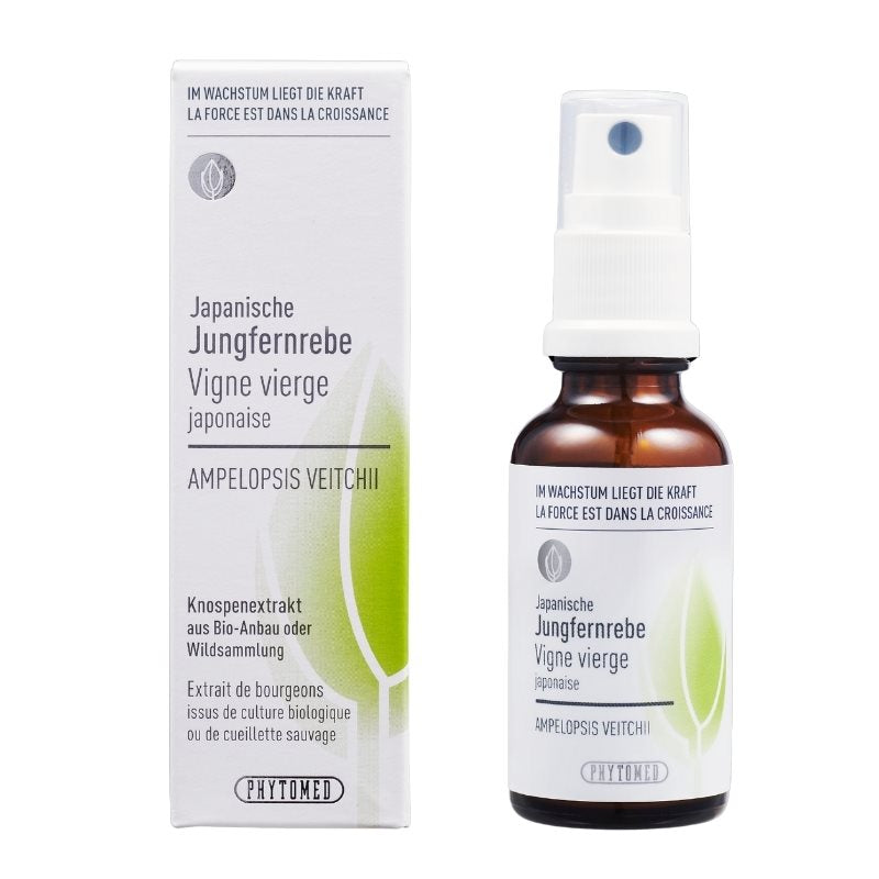 PHYTOMED Knospenextrakt J-rebe Extrait 30ml | Vitalité