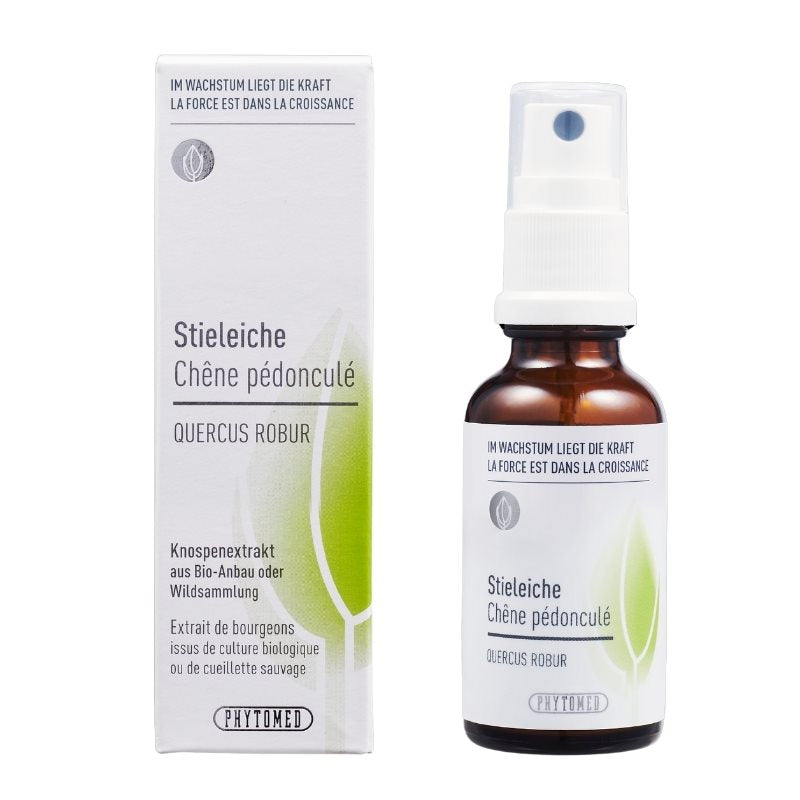 PHYTOMED Knospenextrakt Stieleiche Spray 30ml | Vitalité