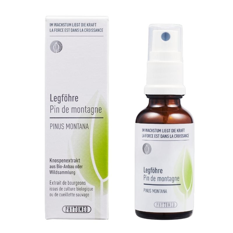 PHYTOMED Knospenextrakt Legföhre Extrait 250ml | Respiratoire