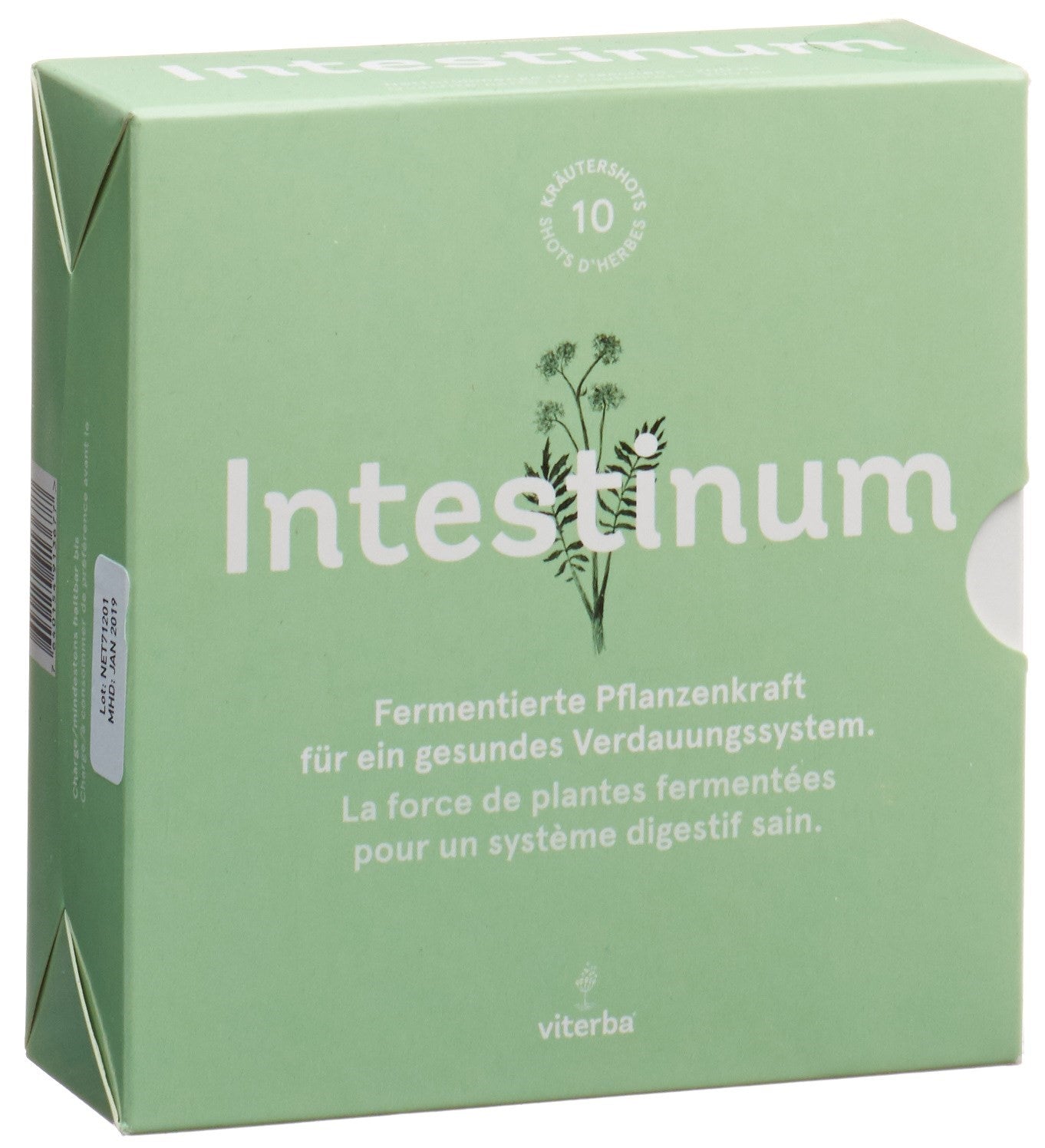 VITERBA Intestinum Shot 10 pce