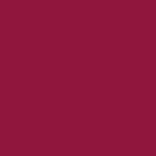 ELSA Housse Oreiller Velours Bordeaux 50x11cm Confort &amp; Protection