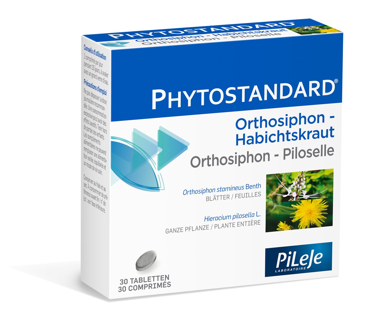PHYTOSTANDARD Orthosiphon Piloselle 30 Comprimés Amincissement | Drainage
