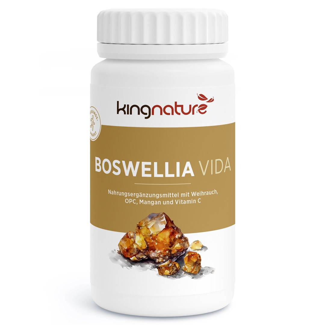 KINGNATURE Boswellia Vida 100mg 90 Capsules Soulagement Articulaire | Complément Alimentaire