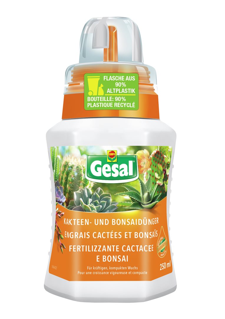 GESAL Engrais Cactus &amp; Bonsaï 250 ml | Nutrition Essentielle