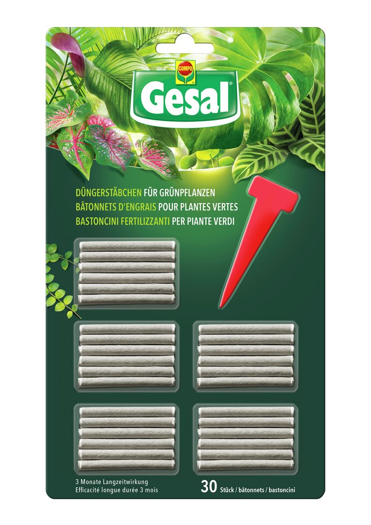 GESAL Engrais Bâtonnets pour Plantes Vertes, Croissance &amp; Vitalité | 30 Pièces