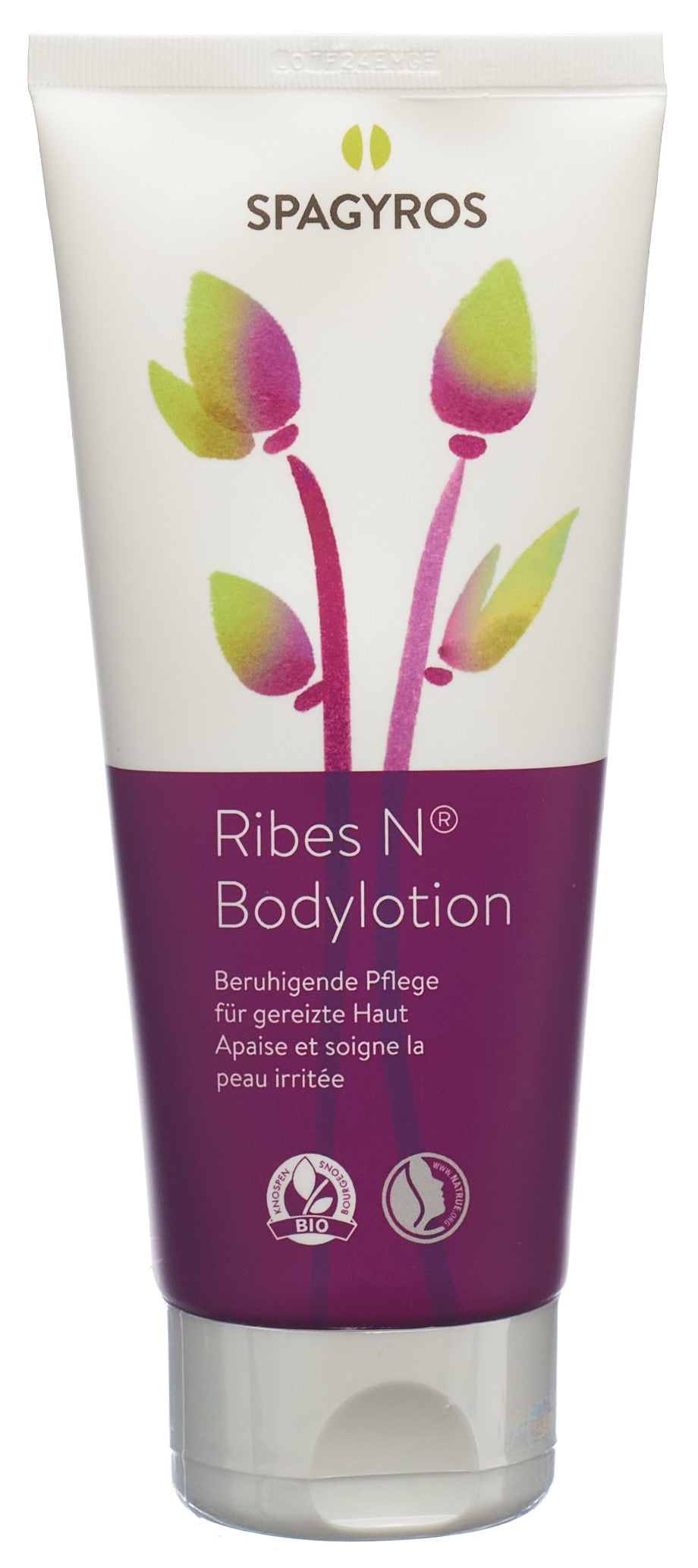 SPAGYROS Ribes Nigrum Lait Corps Hydratant 200 ml