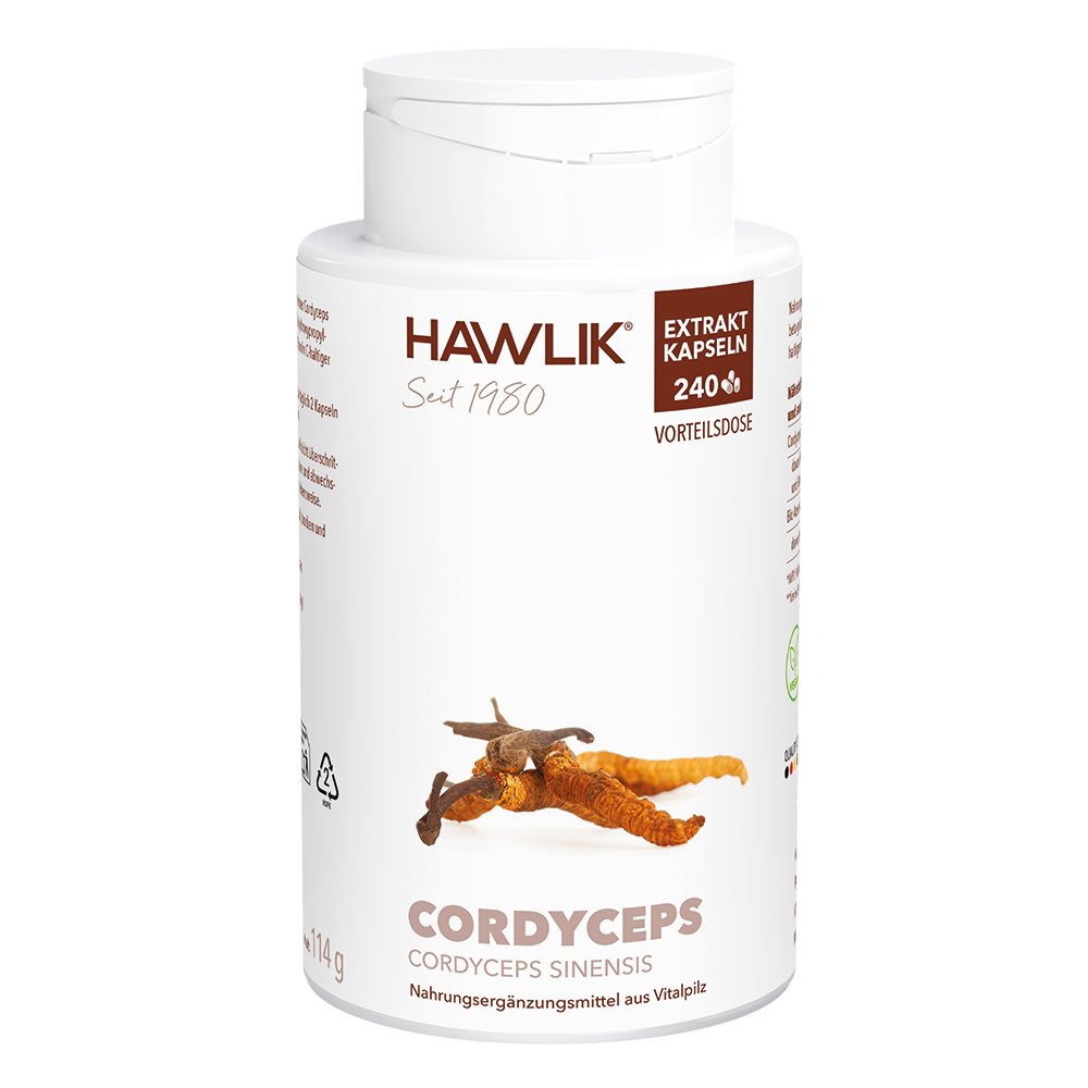 HAWLIK Cordyceps Extrait Bio Énergie &amp; Vitalité | 240 Capsules