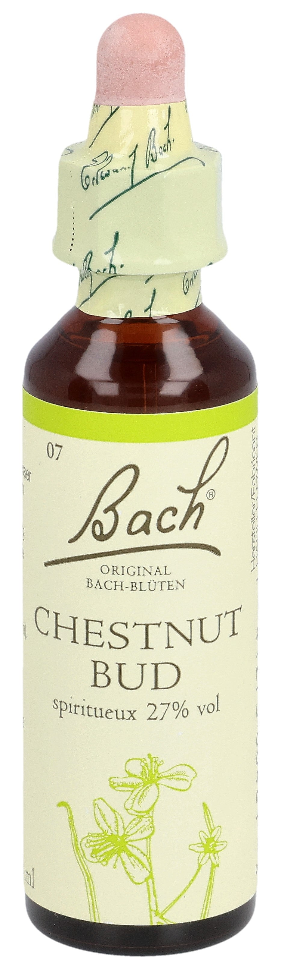 Fleurs de Bach Original Chestnut Bud N°7 Aide à l&