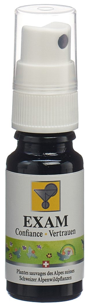 ODINELIXIR Examen Essentiel Préparation Émotionnelle 10 ml