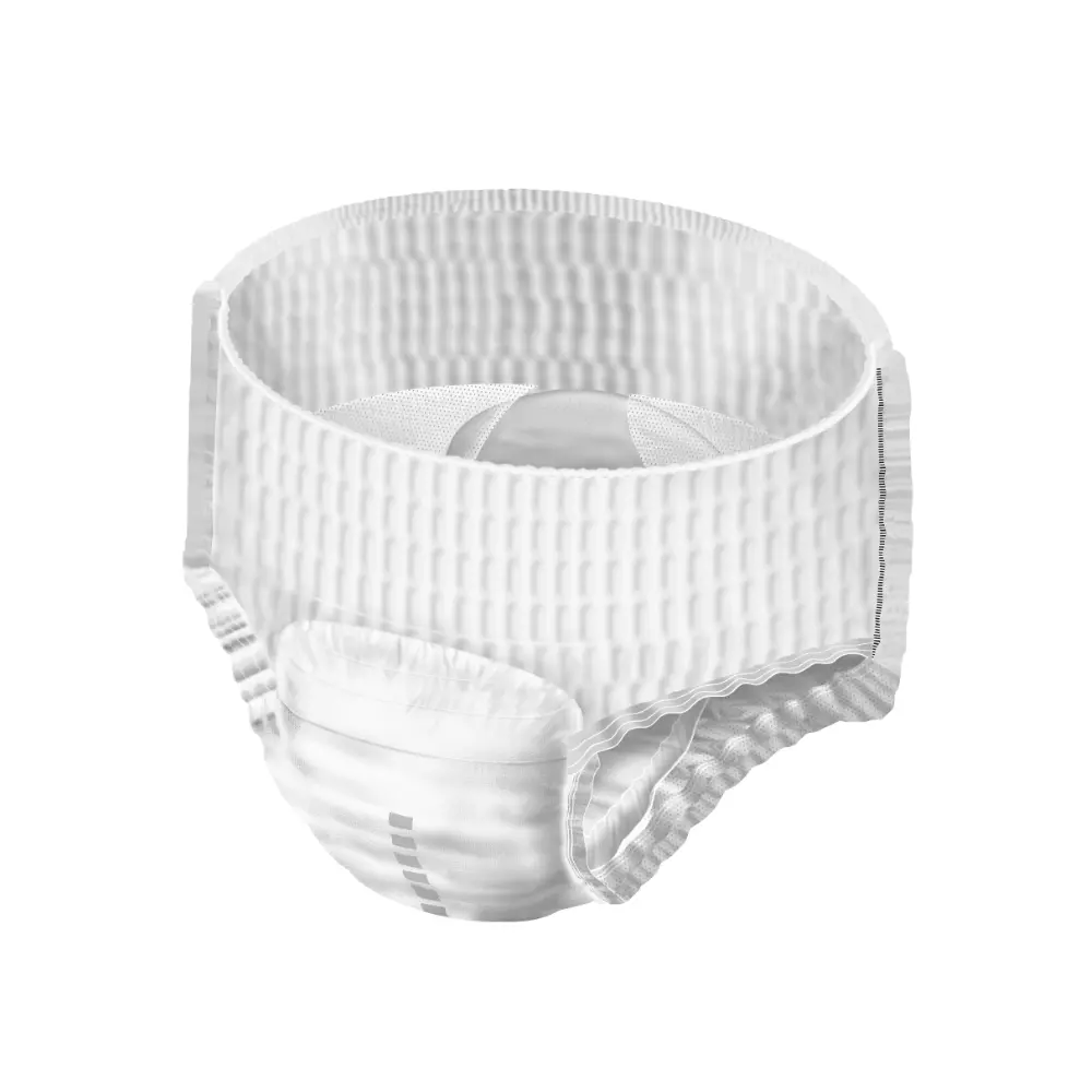 https://altruan.ch/cdn/shop/files/HartmannMoliCarePantsDayInkontinenzpants_d032e37f-bb42-429a-871b-c1c0c22b02c1.png?v=1706789544